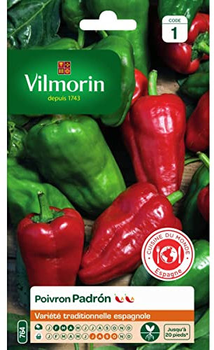 Vilmorin - Sachet graines Poivron Padron