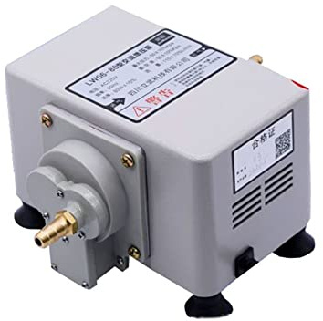 wrtgerht Mini Power Small Pump Booster Pump Metal Shell Natural Gas Pump Restaurant Pipeline Gas Booster 110L/min 50Kpa
