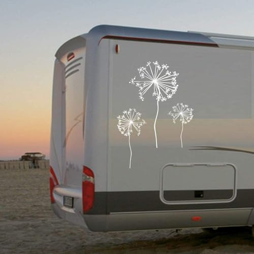 Rakelfix 3 schöne Pusteblumen ca 40, 55 & 90cm Wohnmobil Wohnwagen Aufkleber Womi Wowa