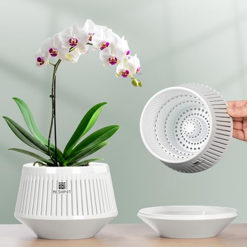 Meshpot 12 cm Orchideentöpfe mit Löchern zum Umtopfen, 2er-Set, dekorative Orchideen-Pflanzgefäße mit Air-Pruning und guter Luftzirkulation, weiße Orchideenbehälter aus Kunststoff mit Untersetzern