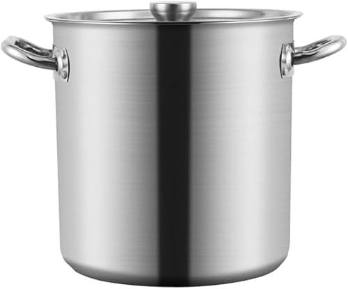 Ollas de acero inoxidable para preparar cerveza casera, ollas grandes con tapa/31 x 32 cm