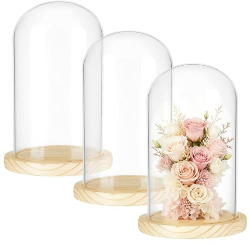 PH PandaHall 3pz Campana di Vetro con Base di Legno Cupola di Vetro Trasparente, 21.5x14cm Campana Espositivo per Matrimonio Rosa Casa Artigianato Pianta Terrario