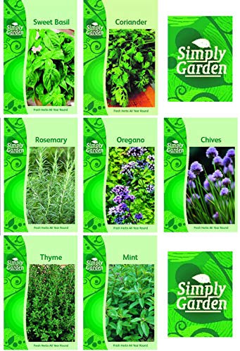 Herb Collection Seeds Coriander Mint Chive Basil Oregano Rosemary Thyme Grow Your Own Fresh Herbs