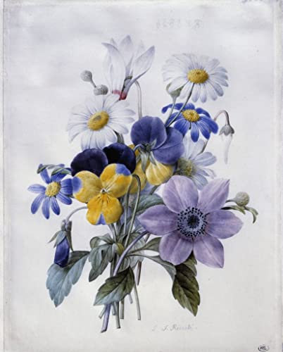 SERENDIPITP Leinwand-Poster, Wandkunst, ohne Rahmen, 50 x 70 cm, Ein Blumenstrauß aus Blumen, Klematit, Gedanke Gänseblümchen und Alpenveilchen von Pierre Joseph Redouté