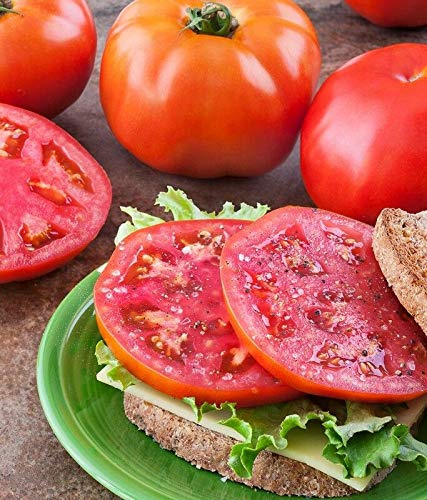 Semillas de Tomate Amelia Pack de 10