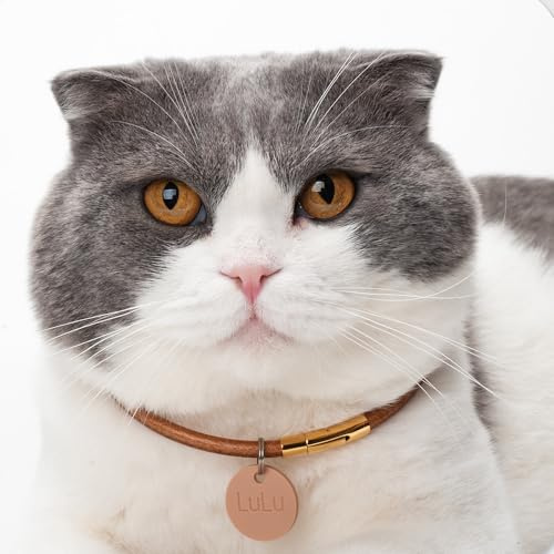Individuelle Silikon-Erkennungsmarke, personalisierbare Nummer und Name, Hundemarke, geräuschlos, keine klingelnden Haustiermarken mehr, um Verlust zu verhindern.
