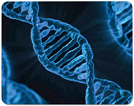 Addies Mousepad DNA Helix Micro-Biologie schönes Mauspad Motiv in feiner Cellophan Geschenk-Verpackung mit Kautschuk Untermaterial, 240x190mm