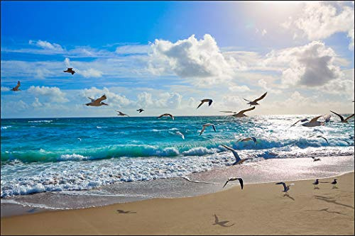 Muralo Fototapete Vlies Strand, Meer, Möwen, Himmel, XXL, Natur - 90x135 cm | Fantasievolle Tapete, hochauflösender Druck - ideal für Wohnzimmer und Schlafzimmer, Urlaubsfeeling für jeden Tag