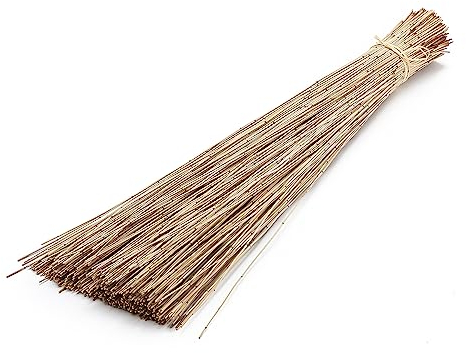 Vleireed 75cm 1kg in 7 Farben zur Auswahl Restio giganteus Vlei Reed Deko Gras Schilfrohre Deko Reed Deko Busch Deko Bündel Naturdeko Feine Dekozweige Elefantengras Afrika Deko, Farbe:Natur