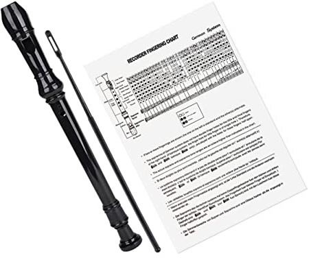 SHOWERORO 8-loch-blockflöte Traditionelle Flöte Mit Reinigungsstab Handbuch Kunststoffblockflöte Blasinstrument Voller Klangfarbe