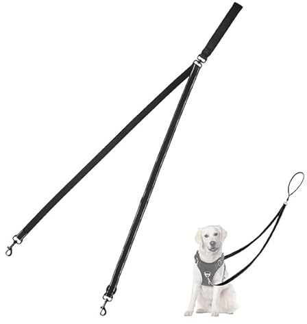 Dog Leads for Large Dogs, Black Dog Leads for Medium Dogs