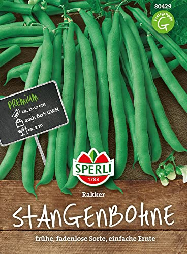 Sperli Stangenbohne Rakker