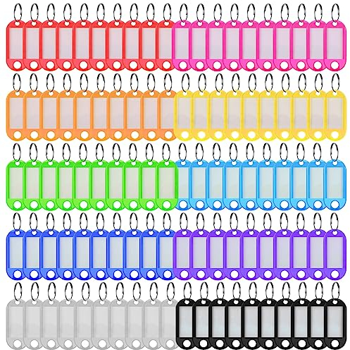 Ailvor Schlüsselanhänger Beschriftbar, 100 Stück Schlüsselschilder mit 20 Extra Etiketten, Schlüsselanhänger zum Beschriften für Koffer, Gepäckstücke, Haustiere, USB Sticks (10 Farben)