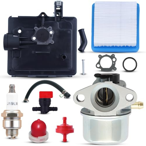 Haishine 799868 Carburateur Kit Compatible avec 498170 799872 694202 497586 498254 790821 Remplacement de Carburateur Moteur Tondeuses à Gazon avec Filtre à Air Bougie d'Allumage