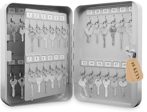 aichilra Armoire à clés pour 48 clés, Boîte à clés, Rangement 48 Crochets, avec Porte-clés étiquetés, 24.6 x 18 x 8 cm, métal, Blanche