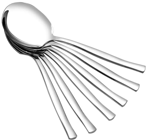 Lesbye Set of 6 Stainless Steel Serving Spoons Set, Large Serving Spoon for Buffet Can Banquet Cooking
