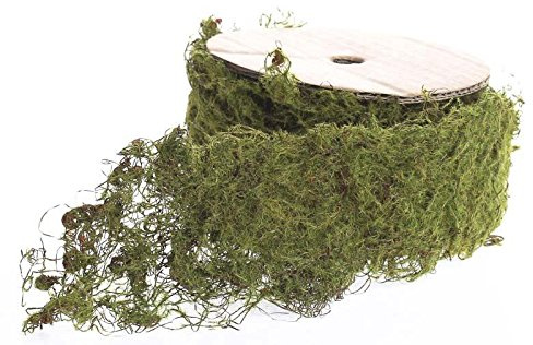 Whimsical Additions 6.5 Feet of Bendable Wired Moss Ribbon for Embellishing Fairy Gardens, Terrariums and Crafts