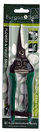 Burgon & Ball RHS Endorsed Flower and Fruit Snip, 19 cm Length