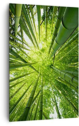 Wandbilder Dekoration Wohnzimmer Bambus Dschungel Grün Bilder auf Leinwand 80x120cm Leinwandbild mit Rahmen Schlafzimmer Küche Deko Wand Kunstdruck Art Groß XXL Wanddeko Bild Wall Canvas PA80x120-4235