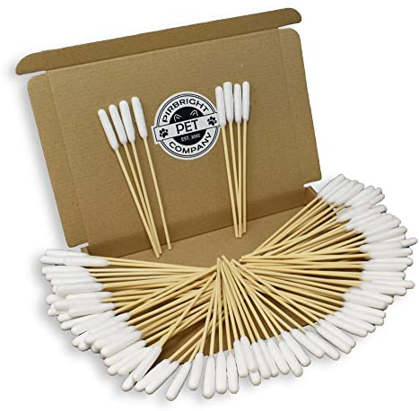 Pirbright Pet Company Extra große 15 cm große Wattestäbchen für Hunde und Hunde, lange Bambus-Wattestäbchen zur Reinigung von Tierohren, 100 Stück
