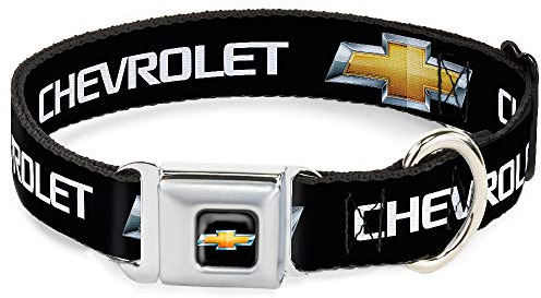 Buckle-Down 22,9–38,1 cm chb-Chevy Schleife Full Color Schwarz/Gold Hund Halsband