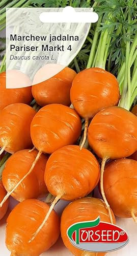 Verdica Mercato parigino 4 semi di carota Daucus carota: precoce, dolce e succosa, ideale per succhi e conserve, opzioni di semina versatili, confezione ecologica (3 grammi)