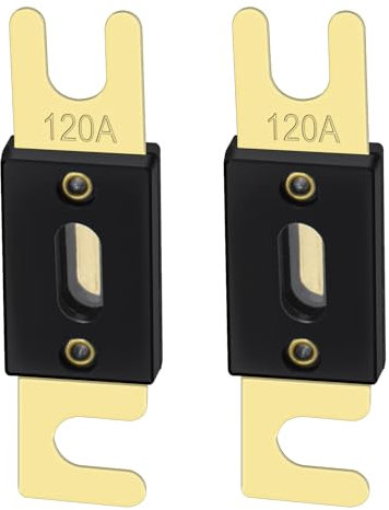 Heschen - ANL-120 - Juego de fusibles, tipo ANL, de 120 amperios, para sistema de audio de coches y vehículos, negro con placa dorada, 2 unidades