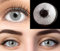 GLAMLENS Pisa Gray Grau + Behälter | Sehr stark deckende natürliche graue Kontaktlinsen farbig | farbige Monatslinsen aus Silikon Hydrogel | 1 Paar (2 Stück) | DIA 14.20 | -5.50 Dioptrien
