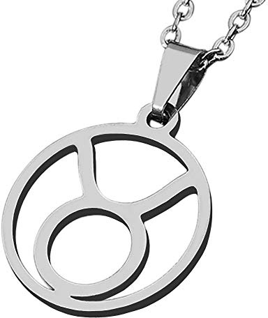 ZENSE - Sternzeichenkette Stier für Herren ZP0235-A, Durchmesser 2 cm, mit Kette