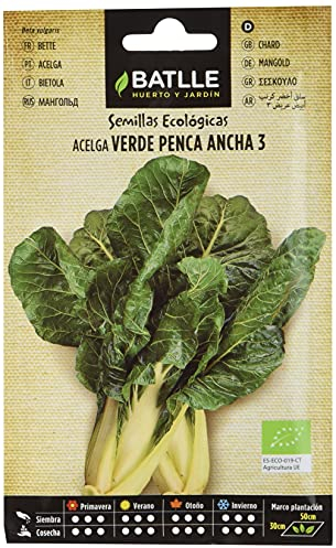 Graines biologiques - Bette à carde à carde et côtes blanches (360 graines - biologiques), Vert, blanc.