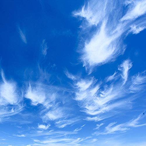 Benutzerdefinierte Decke Wandtuch Moderne Blauer Himmel Und Weiße Wolke Wandbild Tapete Wohnzimmer Thema Hotel Deckenverkleidung 3D Wohnkultur-250 * 175cm