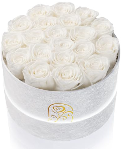 Gifts for Women Preserved Roses Flower Box, Luxury Velvet Box with 20 Roses, Preserved Flowers, Romantic Gift for Her, Wife, Girlfriend, Birthday Anniversary Christmas (White)