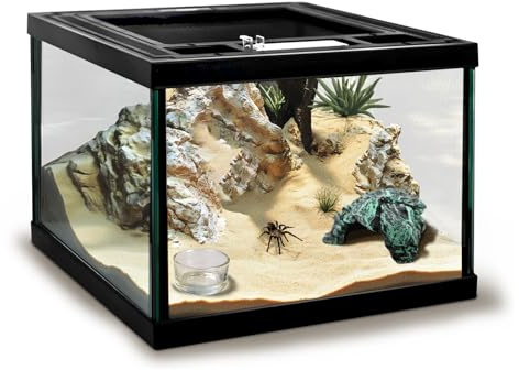 Mini Reptile Glass Tank 8 * 8 * 6inch Terrarium for Start with Top Ventilation for Turtle,Spider,Hermit Crab,Geock,Frog AMD Beard Dragon