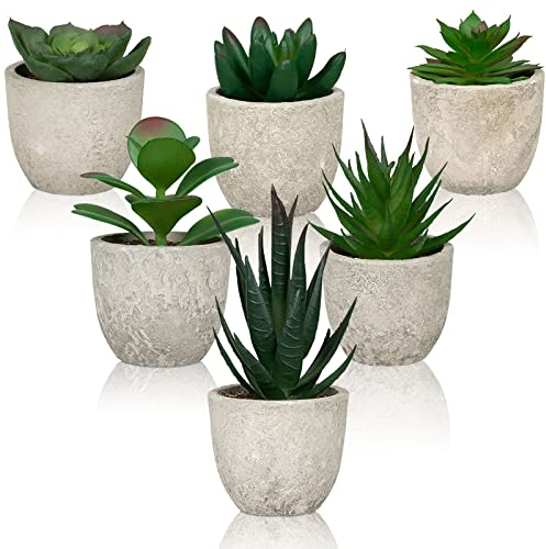 Lighterday Set of 6 Artificial Succulent Plants Indoor, Fake Decorative In Pots Small Succulents Faux Plastic for Office Bathroom Desk Bedroom House Decor, Green (DT-2583)