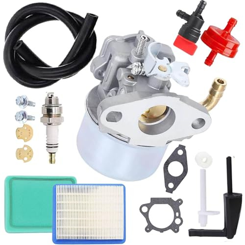 Ewillownm Compatible avec Le carburateur 215369 pour Briggs Stratton 696065 215434 697422 214706 214706T 798654 792970 12211 Intek 190 Moteur 850 série 6,75 OHV pour Moteur John Deere 020382