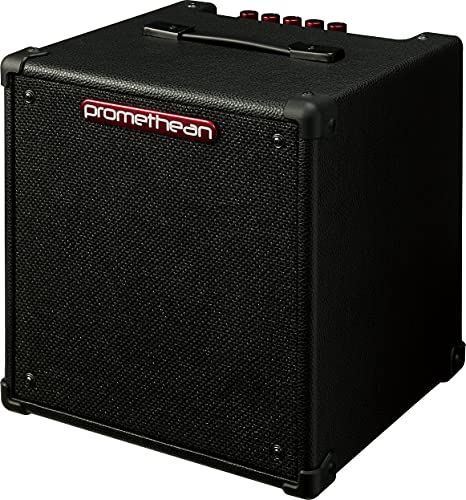 Ibanez Promethean P20 Combo