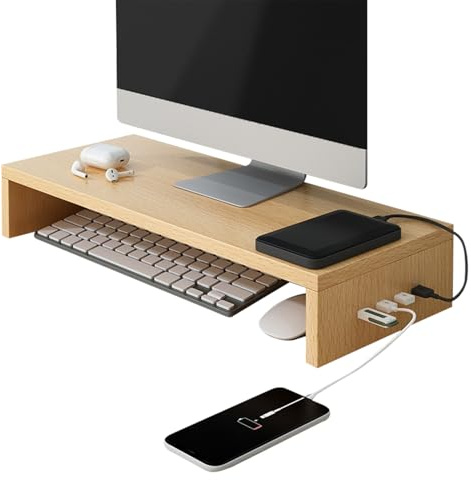 Zahoken Bildskärmsstativ för skrivbord, booster med 4 USB-portar, ergonomiskt laptopstativ, skrivbord för skrivare skärm bärbar dator elektronik hemskola lekrum arbetsstudie
