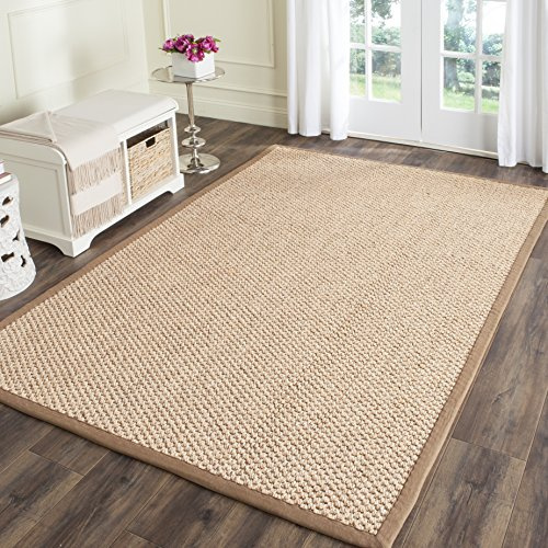 SAFAVIEH Area Rug 2x3 - Natural Fiber Collection - Natural Brown, Sisal, Woven Design with Border (NF525B)