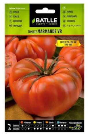 Semillas de Tomate Marmande VR tipo Holanda RAF - Calidad y Versatilidad ?