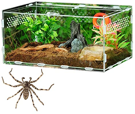Nupaque Reptilien-Zuchtbox aus Acryl | Transparente Reptilienzuchtbox - Transparente Reptilien-Futterbox Reptilien-Terrarium-Lebensraum für Schlangenschildkröten-Eidechsen