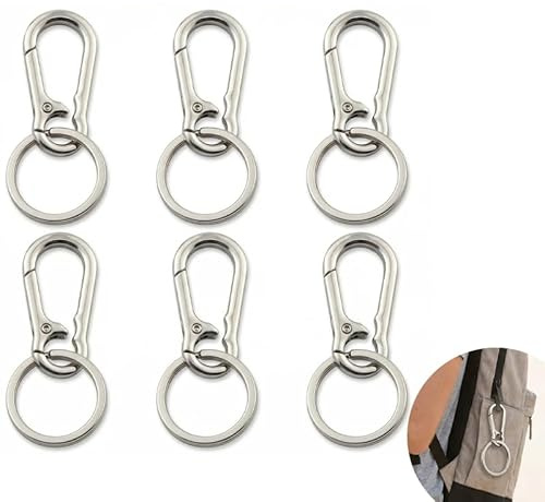 6 Piezas Mosquetón Llavero de Metal, Mosquetones Pequeños para Llaveros, Mochilas y Accesorios, Uso Multiuso en Coches, Camping y Manualidades DIY, con Resistencia Antioxidante (Silver)
