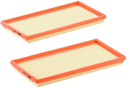 MANN-FILTER C 3361-2 Luftfilter (2er Set) - für Pkw + Transporter | Für PKW, Saubere Luftzufuhr, Langlebiges Filtermedium, Passgenaues Design, Echte OE-Technologie