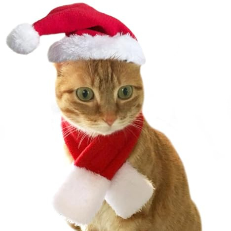 AYNKH 2-teiliges Haustier-Weihnachtskostüm-Set – Hut und Schal für Hunde und Katzen, Plüsch, verstellbar, für Urlaubsdekoration, geeignet für kleine und große Haustiere (L)