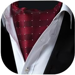 HISDERN Men's Wine Red Cravat Wedding Polka Dot Ascot Tie Classic Jacquard Woven Business Cravats