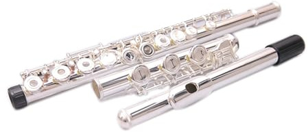 tvärflöjt instrument Flöjt 17 håls öppen flöjt instrument C nyckel nybörjare professionell prestanda