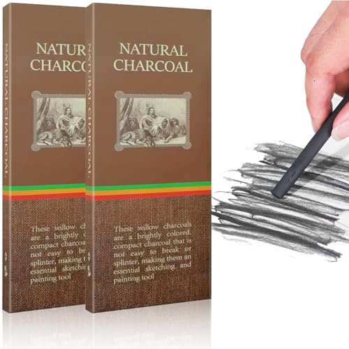 20 PCS Charcoal Sticks, 3-5mm Black Willow Charcoal, Drawing Tools Charcoal Pencils for Artists Students and Hobbyists