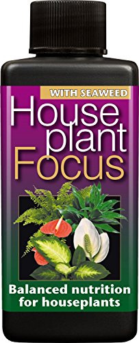 Houseplant Focus Balanced Liquid Concentrated Fertiliser 100ml (GUM LTD)