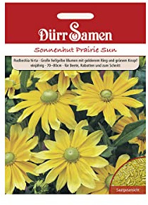 Dürr-Samen - Sonnenhut Prairie Sun hellgelbe Blüten einjährig 70-80 cm Saatgut