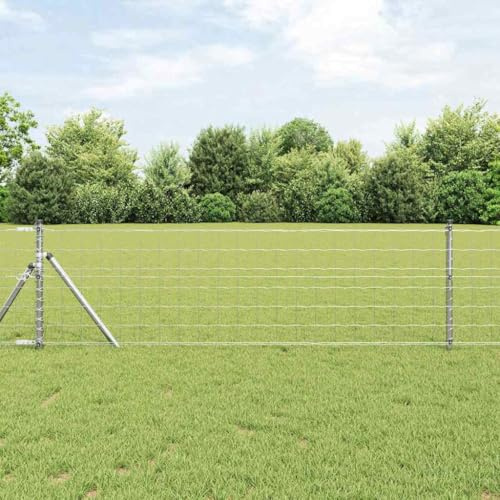 Valla de doble varilla con postes plateados, 0,8 x 10 m, acero
