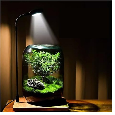 Terrario de cristal para plantas con luz LED de crecimiento para plantas de interior, decoración de oficina y amantes de las plantas
